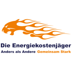 Die Energiekostenjäger Team Deutschland